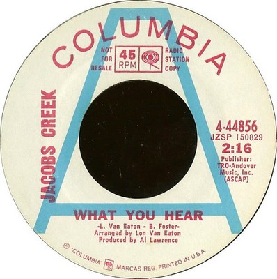 Jacobs Creek - What You Hear - Used Vinyl Record 7 - Promo - G8100z