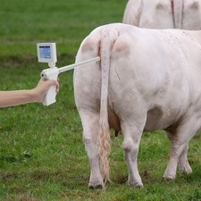 NEW Visual Artificial Insemination Gun Cow Kit Camera with 360 Adjustable Screen