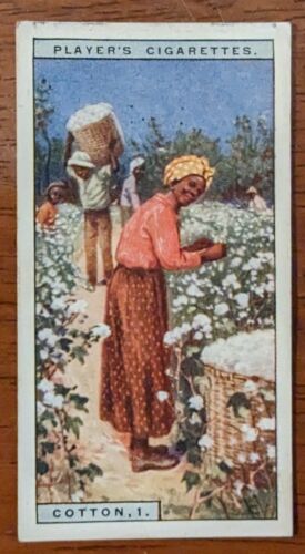 1928 Players Cigarettes Products of the world #17 Cotton 1 West Indies  - Picture 1 of 2