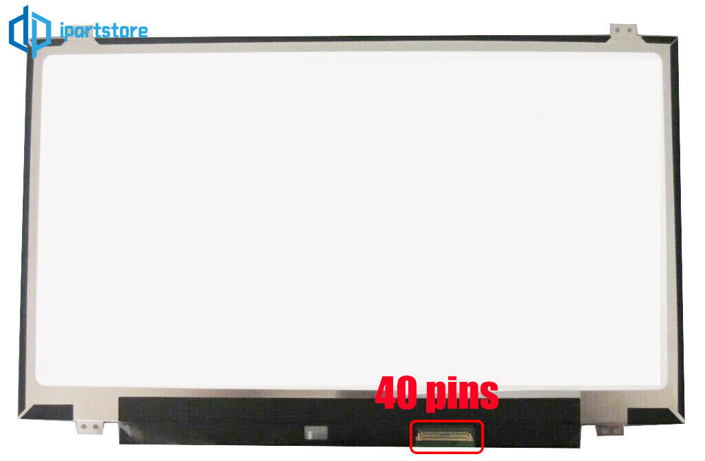 ルッコラページ s-l400.jpg