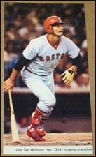 1977 Carl Yastrzemski Boston Red Sox SI Magazine Photo Clipping 4.75