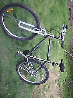 gumtree mtb bikes