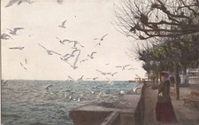 Seagulls, Woman in Long Dress & Hat