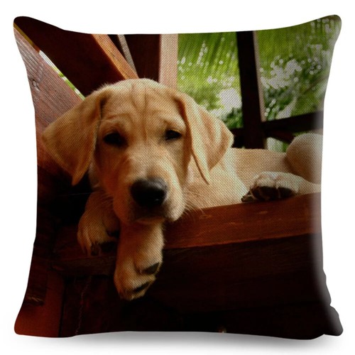 Cute Labrador Dog Pillowcase Decor Pet Animal Printed Cushion Cover - Picture 21 of 42
