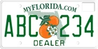 2009-2018 Custom Florida License Plate - Dealer Florida License Plate