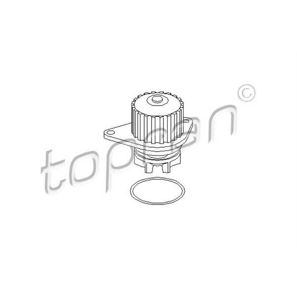 Topran Wasserpumpe FüR CitroëN Berlingo Kasten Saxo Peugeot 206 SchräGheck 106-image