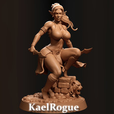 Dungeons & Dragons Playable Character - Female Elf Kael Rogue, Fighter, Warrior