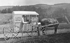 US Mail Carrier Parcel Post Horse Delivery Hartwick New York NY - Reprint