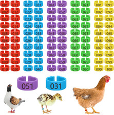 100 Pcs 16mm Plastic Chicken Leg Bands, Color-Coded Leg Bands for Chickens  ...