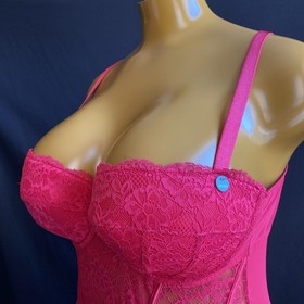 Ann Summers Sexy Lace Planet Suspender Basque, Red Sheer Mesh & Lace, UK 18 D-DD