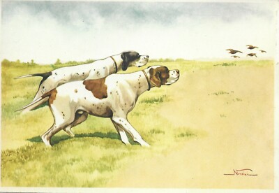 1930s Era Italy Dog Art Print NORFINI Postcard ENGLISH POINTER in Landscape