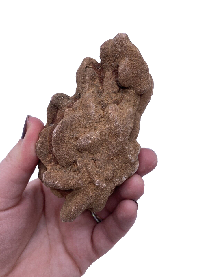 Rose Rock Oklahoma Barite Flower Large Found Near Noble OK 4" x 2