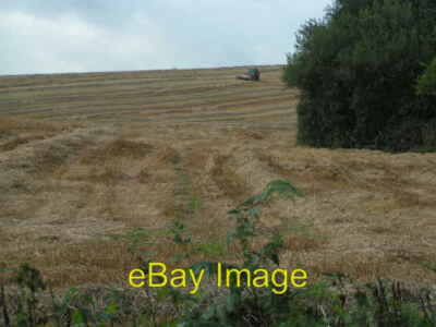 Foto 6x4 Heu machen während die Sonne scheint, Willsworthy Farm Kenn\/SX9285 c2008