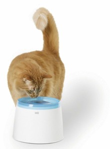 catit fresh