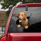 Chesapeake Bay Retriever car decal dog decal Chesapeake Retriever car sticker
