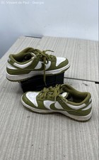 Nike Dunk Low Pacific Moss Grade School FB9109-108 Boys Size 5Y Great Condition