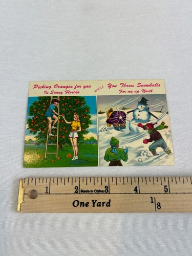 Vintage 1964 Postcard Florida Comic Funny Picking Oranges Snowballs - Picture 6 of 7