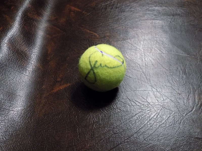 SERENA WILLIAMS & VENUS WILLIAMS AUTOGRAPHED NEW PENN TENNIS BALL W/COA