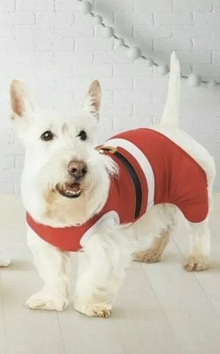 free chihuahua puppies to good home