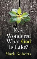 Ever Wondered What God Is Like? Mark Roberts Taschenbuch Kartoniert / Broschiert