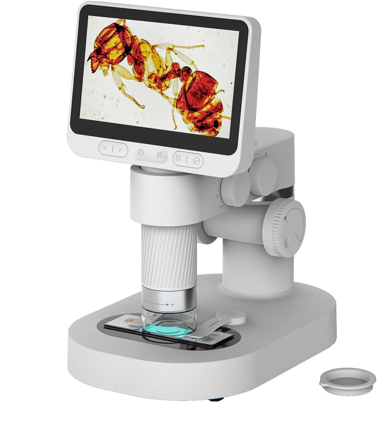 Medical Digital Microscopes