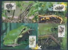 XE60126 Belgium 2000 snakes frogs animals reptiles maxicards used