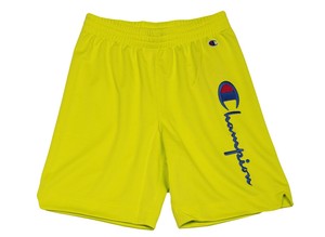 champion reverse weave mesh shorts