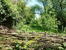 Photo 12x8 Willow hurdles Peakirk A fence made of willow hurdles at the De c2015
