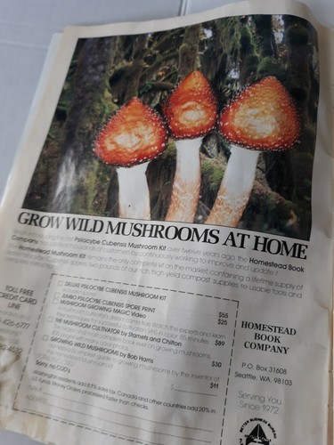 High Times März 1990 Marihuana Legalisierung Jerry Garcia William F. Buckley - Bild 5 von 12