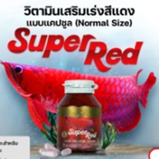 ARO PLUS vitamins super red dragon arowana fish capsule color enhancement grow