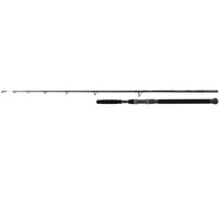 Shimano Beastmaster Ax Catfish 220Cm 120G 2Pc Welsrute
