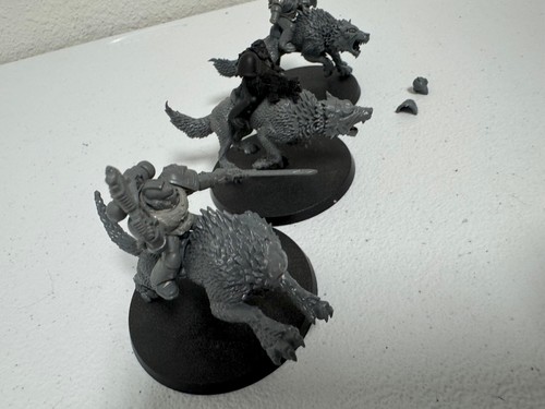 Warhammer 40K Space Wolves Wolf Donnerwolf Kavallerie x3 schlechter Zustand 92825 C - Bild 5 von 8