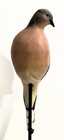 Life Size BRAD FALKINBURG VERTICAL MOURNING DOVE CARVING Wood Bird Sculpture  — photo 8