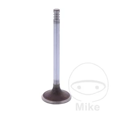 SIEBENROCK intake valve