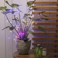 Led Solar Draht LichtbüNdel Silber 80Cm Bunte Led 10 SträNge Pflanzenbeleuchtung