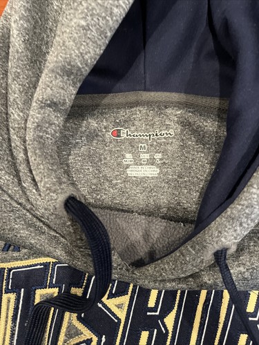 PITT PANTHERS Hoodie Sweatshirt CHAMPION Sewn NCAA LOGO PITTSBURGH U - Picture 2 of 3