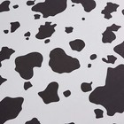 Bild 7 von 11