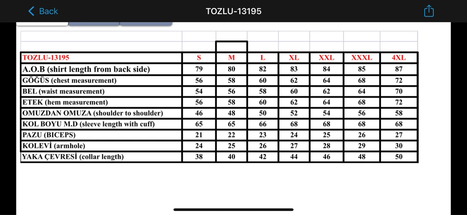 Jan Paulsen - Herren Hemd - Regular Fit HEMDEN SHIRT BUSINESS HOCHZEIT NEU - Bild 2 von 4