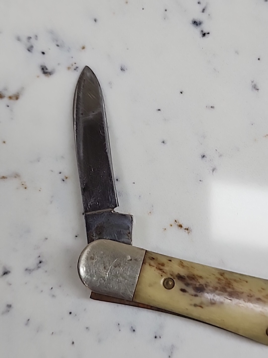 Vintage Case XX A6208 Half Whittler Appaloosa Bone Pocket Knife eBay