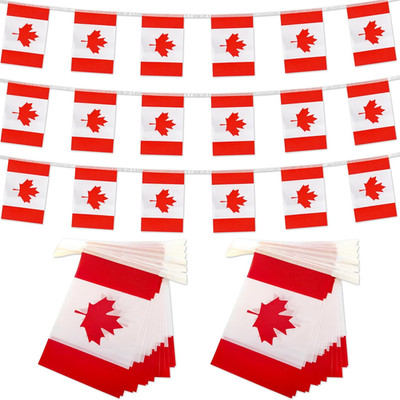 2 Packs Canada Flag Banner Canadian Flags String Small Mini Hanging Flags Decora