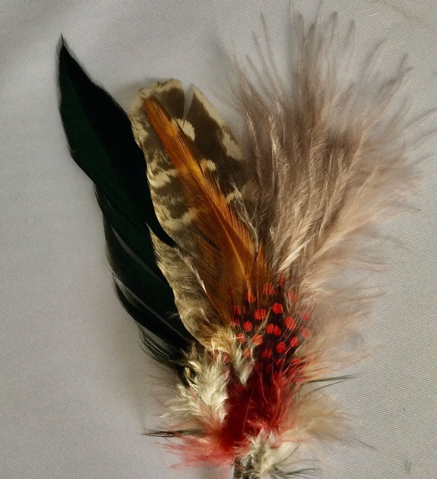 Bild 2 von 2