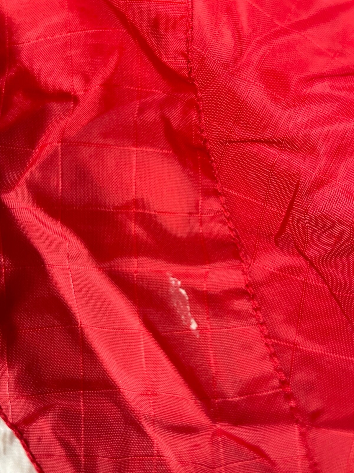 Picture 5 of 16