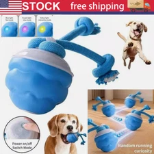 The Chase Buddy Dog Boredom Stimulating Toy 2025 Smart Pet Puppy Ball with Ropes