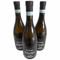 Cantina Bertagna, Lugana DOC 2024, 3 × 0,75 L, WeißWein Aus Italien (Lombardei)