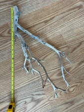 manzanita wood pieces