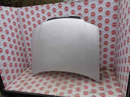 Capo para AUDI ALLROAD QUATTRO QUATTRO (4B5) 2.7 T 2003 735541 - Imagen 1 de 5