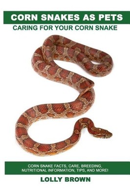 Lolly Brown Corn Snakes as Pets (Paperback)