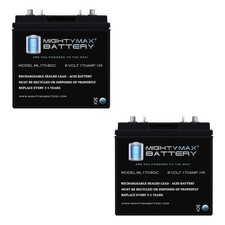 Mighty Max 8V, 170Ah, AGM, Battery Replaces Deep Cycle ezgo Club Car - 2 Pack