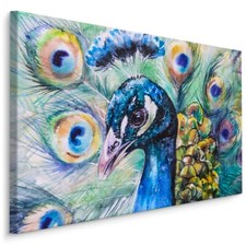 Leinwand Bild CANVAS WANDBILD Kunstdruck XXL Natur Pfau Bunte Federn 1008