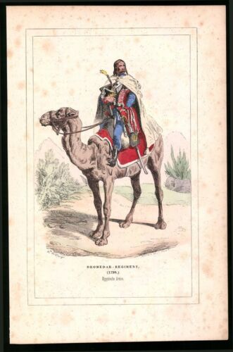 Wood Engraving Dromedar-Regiment, Egyptian Armee 1798, Old Coloured Volume - Picture 1 of 2